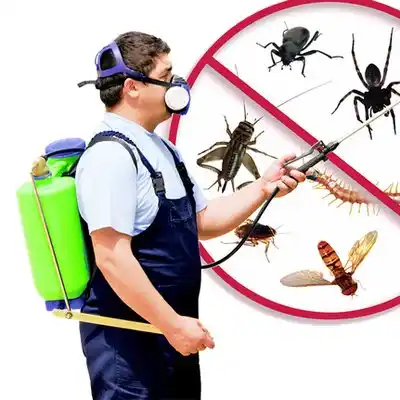 pest control West Nyack